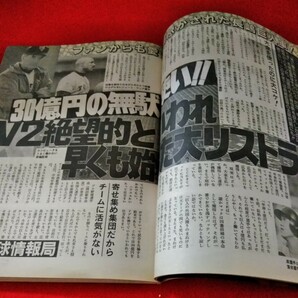 g-480 話のプレイ情報局 1995年7月12日増刊号 木下優 有賀さつき 宮崎ますみ 岡崎聡子  ※9 の画像4