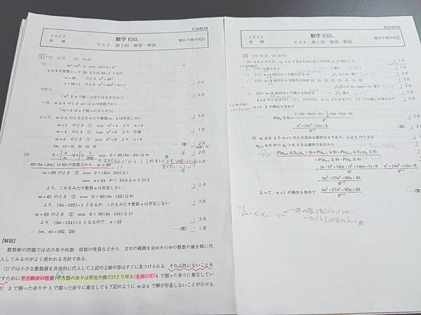 駿台　22年通期　数学EXL　問題・解説　フルセット　数学難問演習　河合塾　駿台　鉄緑会　東進