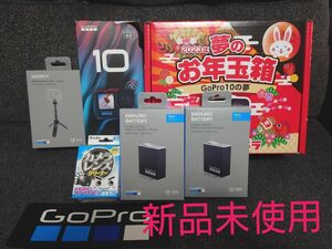 【GoPro10の夢】GoPro HERO 10 Black CHDHX-101-FW　オプション品多数 福袋 Go Pro 10