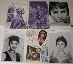 M2810[ magazine cut .] sophia * low Len Sophia Loren relation chronicle . island. woman na poly- ... is z other ##65 sheets 