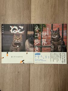 岩合光昭２冊セット「岩合光昭の世界ネコ歩き」「ねこ」岩合光昭／著