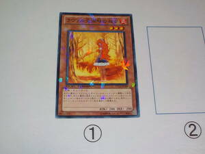 遊戯王 DT12 ラヴァル炎湖畔の淑女　ノーマルパラレルです。