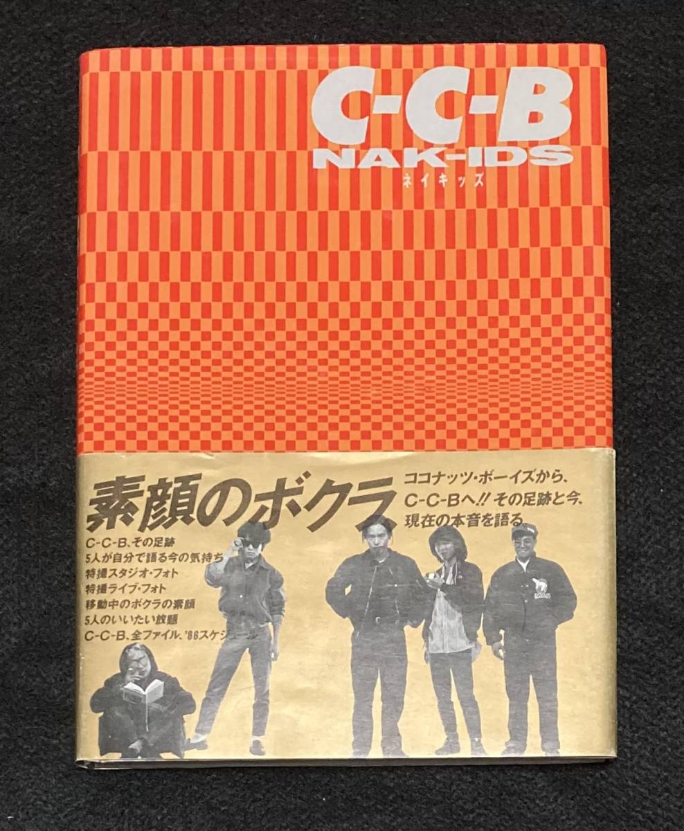 笠浩二 Arex sakura CD-R C-C-B CCB 渡辺英樹 関口誠人 米川英之 田口