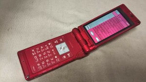 DG4691 docomo FOMA P905i Panasonic ガラケー ケータイ 折り畳み式 簡易動作確認＆簡易清掃＆初期化OK 判定○ 現状品 送料無料　