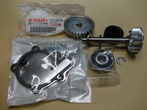 送料込 RZ250 RZ250R アルミ ウォーターポンプ 純正オイルポンプギヤ リフレッシュ セット RZ350 RZ350R 4U0 4L3 29K 29L 3HM 1AR 1XG 51L