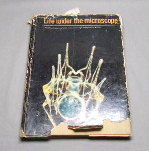 洋書【LIFE UNDER THE MICROSCOPE 顕微鏡下の生活 写真集】1964年 SPRING BOOKS 科学 ミクロ デザイン アート 芸術 図録 資料 英語 古書