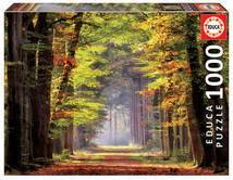 EDUCA 19021 1000ピース ジグソーパズル ドイツ発売 秋の散歩道 Fall Walkway_画像1
