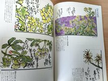 絵手紙歳時記 花城裕子 全巻4冊セット揃い 春夏秋冬 日本美術教育センター/ユーキャン/動物/植物/風物/生活/作品例/描き方/大型本/Z326520_画像3