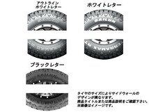 ラギッドテレーン(ブラックレター) 245/75R17 121/118Q 1本価格(単品) SAILUN(サイレン) TERRAMAX RT (R/T) (新品 当日発送 送料無料)_画像2