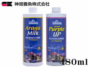 カミハタ カリブシー パープルアップ+アラガミルクセット 480ml 　海水用添加剤 石灰藻 サンゴ　管理60