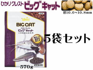 キョーリン ひかりクレスト ビッグキャット570gx5袋 (1袋2,140円)　大型底棲肉食魚の餌 沈下性　管理100