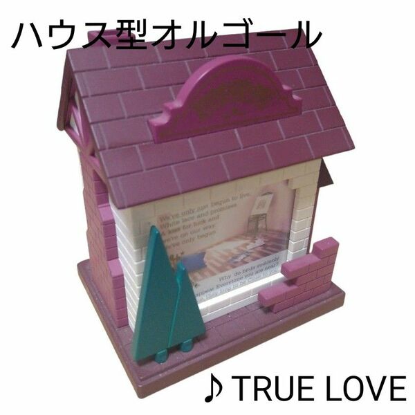 ハウス型オルゴール付 ジュエリーボックス　♪TRUE LOVE