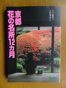 [単行本]　京都 花の名所12カ月 / 山と溪谷社