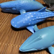 サメ、イルカ、シャチ 海の生物フィギュア まとめて_画像3
