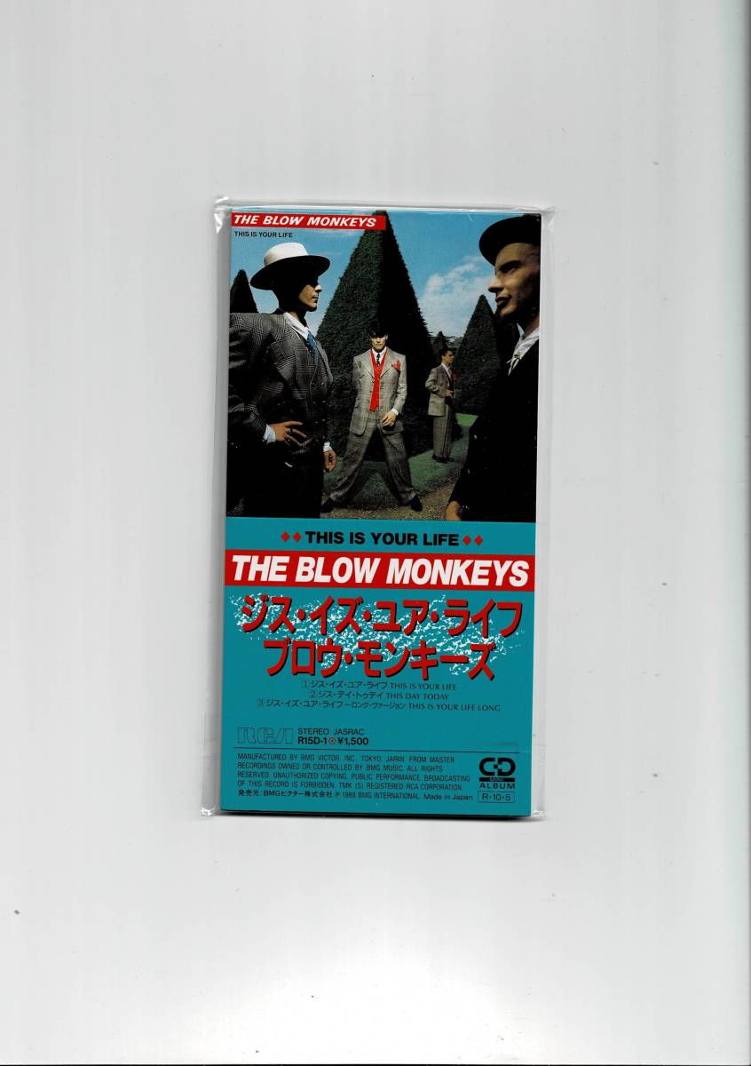 ブロウ・モンキーズ/THE BLOW MONKEYS Live from London:-