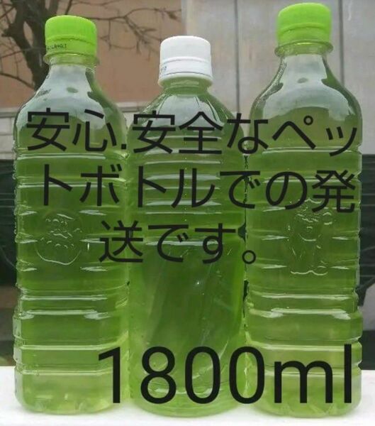 　天然 グリーンウォーター(種水．青水) 1800ml。メダカ．金魚　ゾウリムシ　ミジンコ