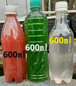 PSB(光合成細菌)600ml&天然 グリーンウォーター(種水．青水)600ml&ゾウリムシ 600ml。ペットボトル発送