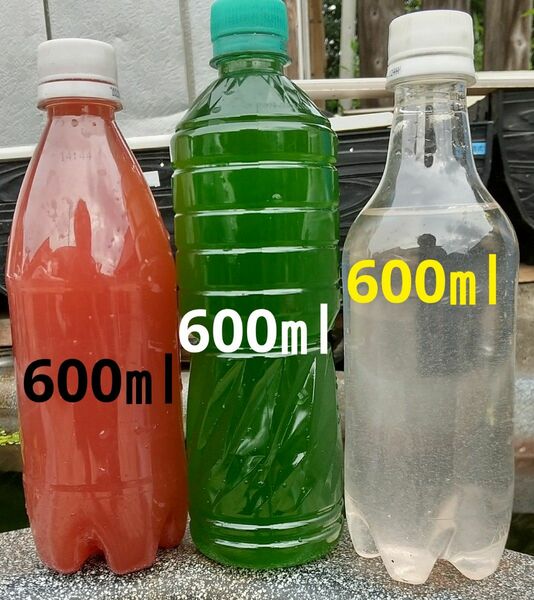 PSB(光合成細菌)600ml&天然 グリーンウォーター(種水．青水)600ml&ゾウリムシ 600ml。ペットボトル発送