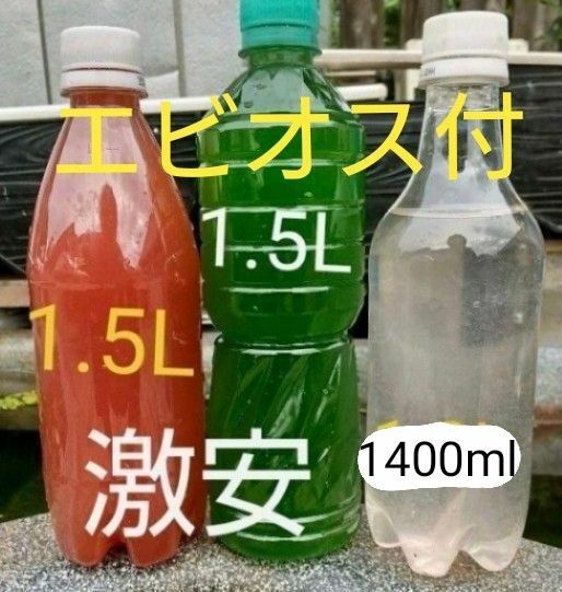 PSB(光合成細菌)1500ml&天然 グリーンウォーター(種水．青水)1500ml&ゾウリムシ 1400ml&エビオス錠30錠。