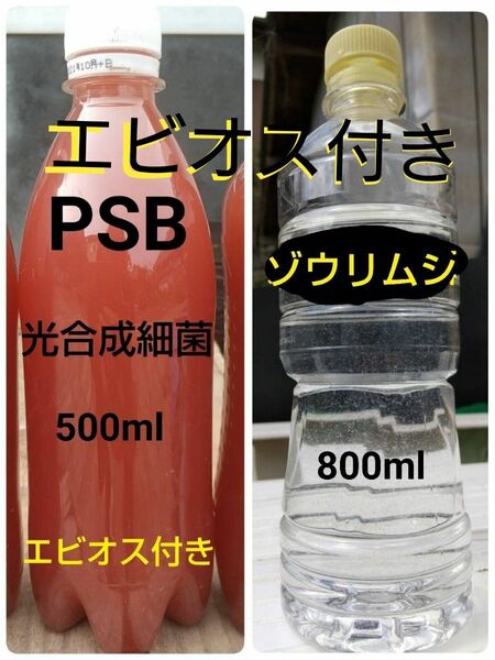 PSB(光合成細菌)500ml＆ゾウリムシ　800ml　&　エビオス30錠。　メダカ　グリーンウォーター　金魚