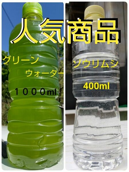 人気商品！　天然　グリーンウォーター(種水　青水)　1000ml　&　ゾウリムシ　400ml