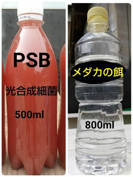 PSB(光合成細菌)500ml＆ゾウリムシ　800ml　。　メダカ　グリーンウォーター　金魚