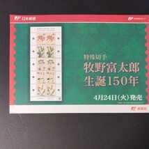 平成24年発行特殊切手、「牧野富太郎　生誕150年亅、80円切手10枚、1シート、額面800円。リーフレット付き。_画像6