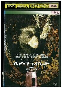 DVD BBC ベア・プライベート レンタル落ち PP14926