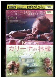 DVD カリーナの林檎 チェルノブイリの森 レンタル落ち ZA3947