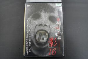 DVD 本当の心霊動画 「影」 16 レンタル落ち YY26407