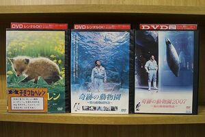 DVD 子ぎつねヘレン + 奇跡の動物園 + 奇跡の動物園2007 3本セット ※ケース無し発送 レンタル落ち ZKK323