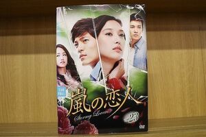 DVD 嵐の恋人 全23巻 チェ・ウンソ イ・ジェユン ※ケース無し発送 レンタル落ち ZY2863