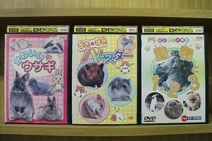 DVD かわいいウサギ + すきすき ハムスター + はじめての算数 動物と1・2・3 3本set※ジャケット難有 ※ケース無し発送 ZL4292