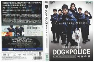 DVD DOG×POLICE 純白の絆 市原隼人 レンタル落ち ZE01904