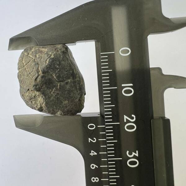 【E22172】 石質隕石 普通コンドライト 隕石 Condrite NWA869 メテオライト 天然石 パワーストーン