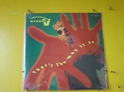 ハウス Adventures Of Stevie V / That's The Way It Is 12インチ新品です。