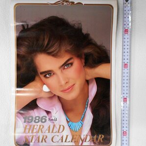 HERALD カレンダー 1986/1987年 映画カレンダー MGM/UA 1985年 まとめ売り 【コ500】の画像7