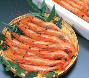 * special selection![ Hyogo prefecture production northern shrimp (2L~3L corresponding )] approximately 700g(30~40 tail go in )....... sea . by nature . taste enough!5kg till uniform carriage . we deliver!