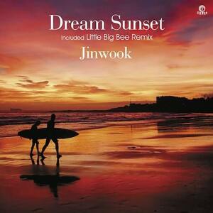 新品 7” JINWOOK / Dream Sunset 検) videotapemusic Stuts Chill Calm Coastlines Flower Records Nujabes Kensei Righteous 矢部 直