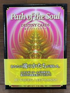 ♪♪運命のオラクルカード Path of the Soul パスオブザソウル 直感と予知の世界へようこそ! レターパックプラス520円♪♪