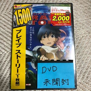 DVD/ブレイブ ストーリー/アニメーション