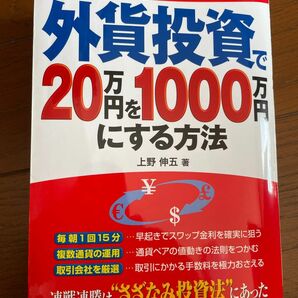 外貨投資で20万円を1000万円にする方法