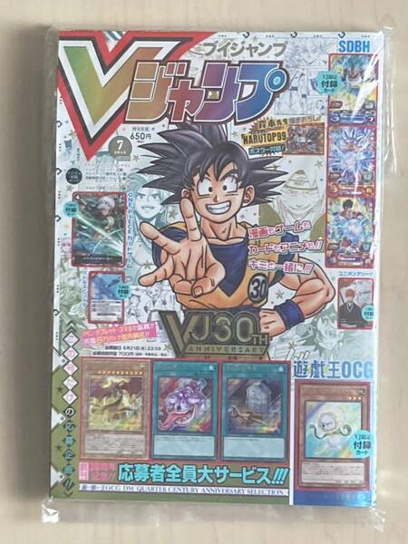 Vジャンプ 7月号　付録無し