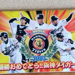 郵便局限定2003年　阪神タイガース優勝記念ハガキ　50円ハガキで10枚セット