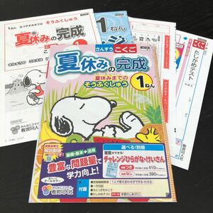 0059 夏休みの完成 1年 教育同人社 YB7100 小学 ドリル 国語 算数 こくご さんすう問題集 テスト 過去問 テキスト 解答 家庭学習 計算 漢字