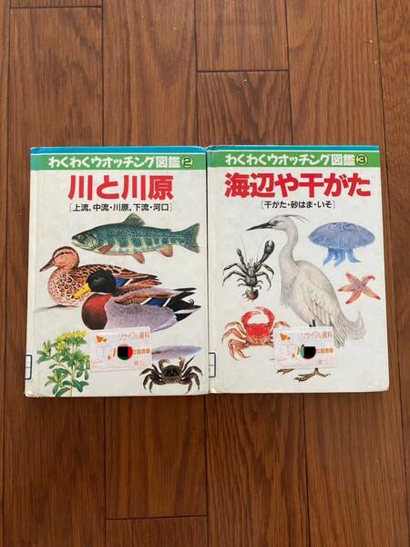 わくわくウォッチング図鑑　川と河原　海辺や干がた　図書館版　リサイクル資料　除籍本　大野正男　東京印書館