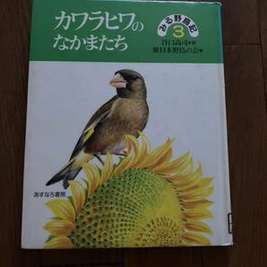 みる野鳥記3 カワラヒワのなかまたち　あすなろ書房 谷口高司　日本野鳥の会　リサイクル資料　除籍本