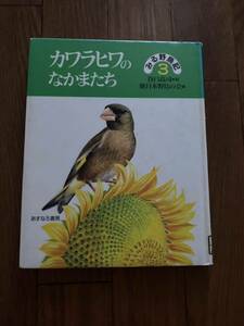 みる野鳥記3 カワラヒワのなかまたち　あすなろ書房 谷口高司　日本野鳥の会　リサイクル資料　除籍本