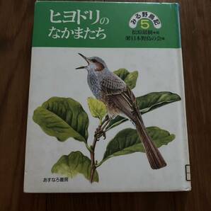 みる野鳥記5 ヒヨドリのなかまたち　あすなろ書房 松原 巌樹　日本野鳥の会　リサイクル資料　除籍本