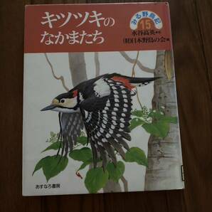 みる野鳥記15 キツツキのなかまたち　あすなろ書房 本若博次　日本野鳥の会　リサイクル資料　除籍本